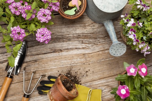 Accessible gardening service in Farringdon with inclusive web design