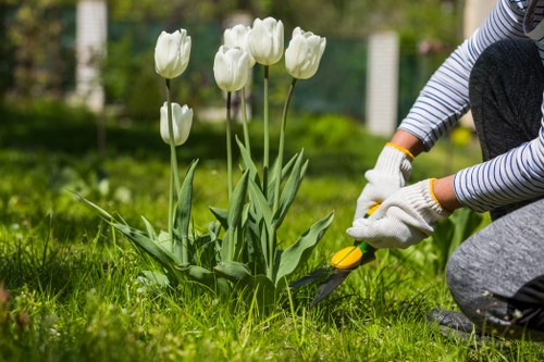 Freshly mowed lawn in a Farringdon garden