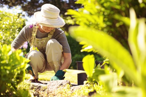 Seasonal planting managed by Farringdon gardeners in a small urban garden