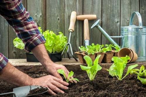 Lawn care and edging for a Farringdon property garden