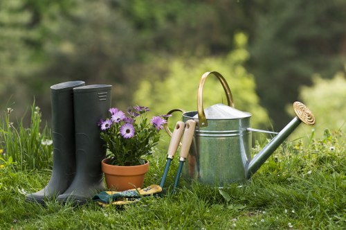 Seasonal lawn care services for a small city garden in Farringdon