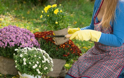 A well-maintained Farringdon garden with seasonal planting