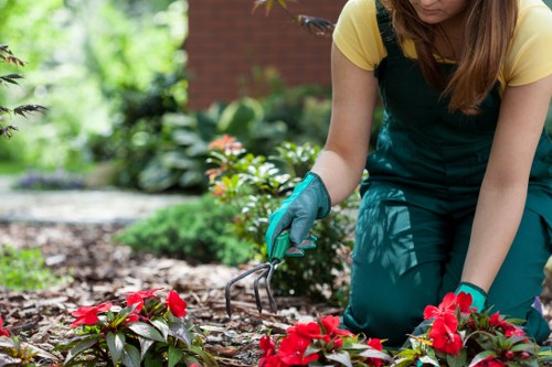Escalating a gardening complaint through a fair internal review