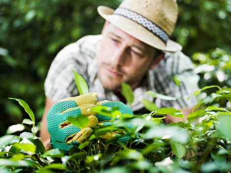 Commitment to preventing modern slavery in landscaping supply chains