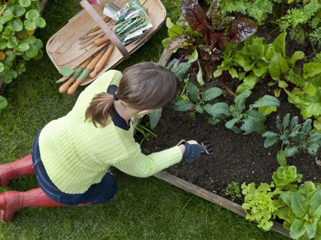 Cubic-yard waste estimate for an overgrown Farringdon garden