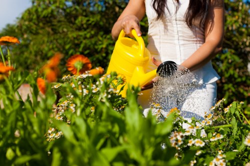 Accessibility support and inclusive service information for Farringdon gardeners
