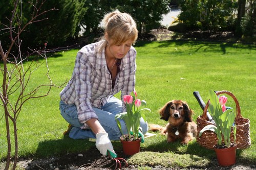 Free garden quote process for Farringdon properties