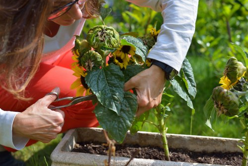 Transparent quote discussion for a terrace garden service