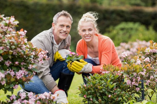 Seasonal hedge trimming work in a Farringdon outdoor space