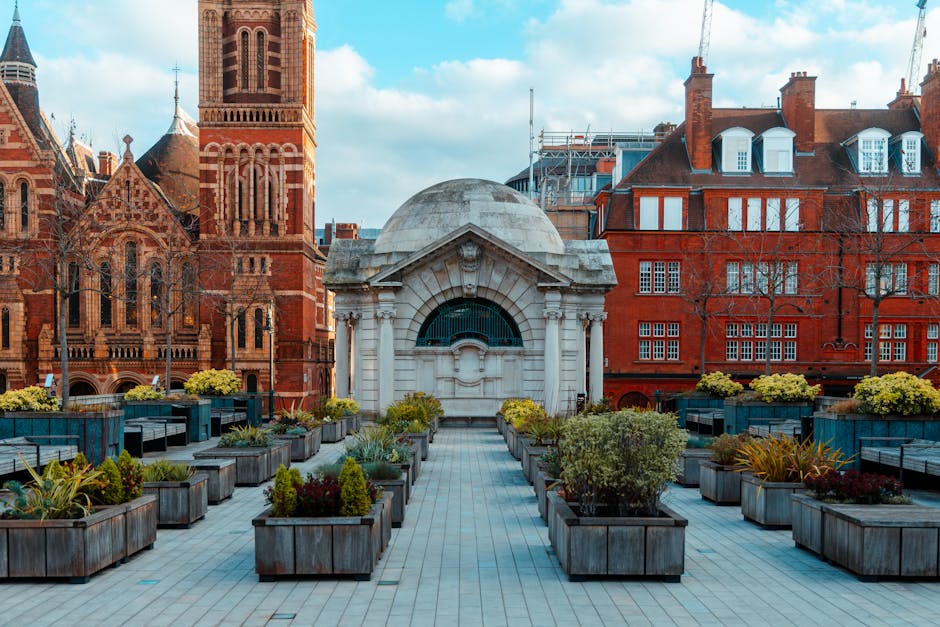 A city rooftop garden featuring a paved central pathway bordered by rectangular wooden planters filled with various plants, including succulents and small shrubs, with some showing fresh green foliage
