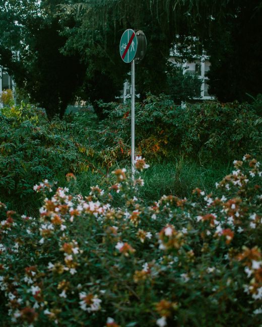 A person wearing black trousers and sneakers is using a green push broom to sweep dry leaves, twigs, and small garden debris into a pile on a gravel pathway. The pathway is bordered by a low stone wal